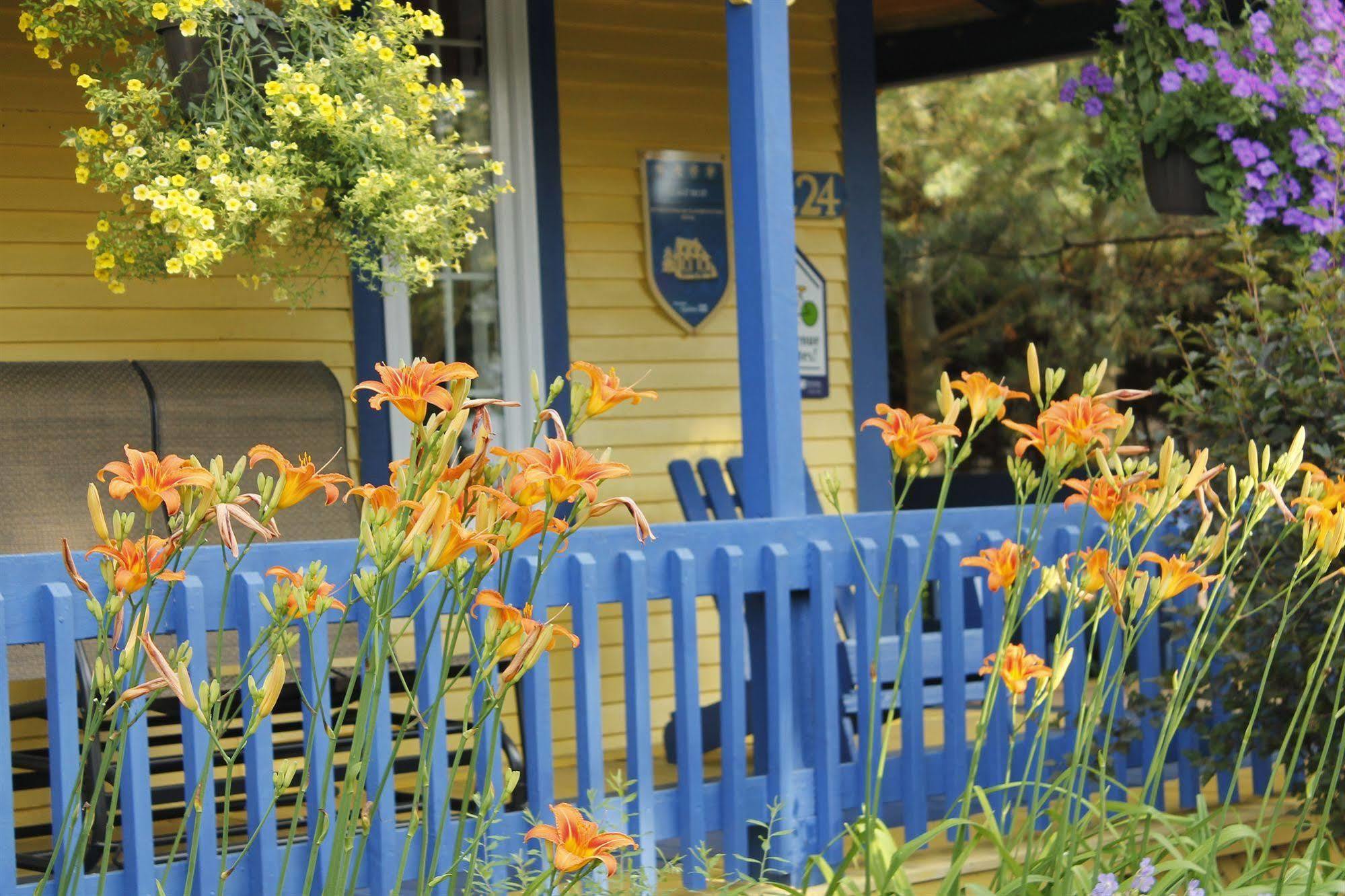 Bed and Breakfast Au Saut Du Lit Magog Exterior foto
