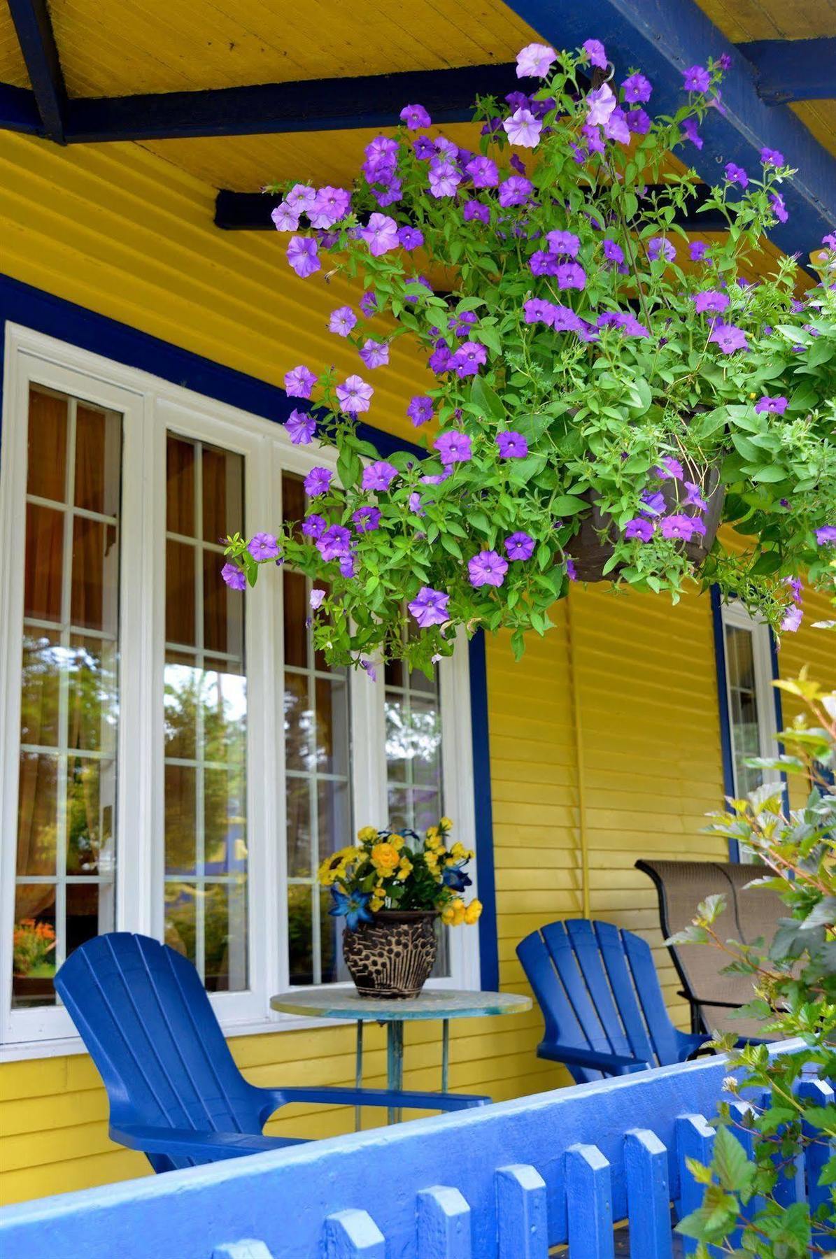 Bed and Breakfast Au Saut Du Lit Magog Exterior foto